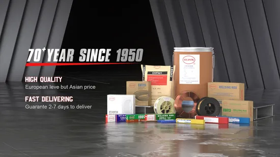 Atlantic OEM ODM Obm Factory Wholesale Price Tungsten Carbide Copper 0.8mm CO2 Solder MIG Mag TIG Welding Wire E71t1 Flux Cored Welding Wire 